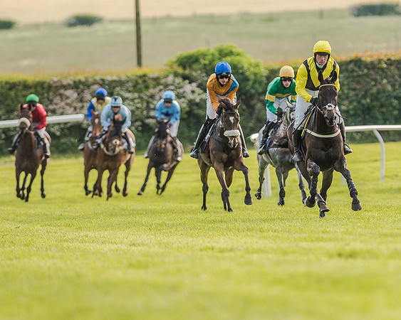 Race 7 - Div 2 - Open Maiden (74 of 163).jpg
