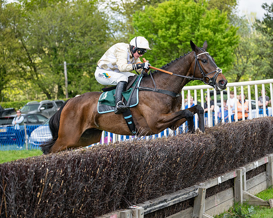 Race 5  - Maiden  (62 of 84)