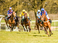 Pony Races (10 of 127).jpg