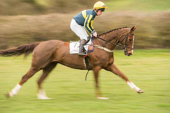 Race 7 - Open Maiden Division 2  (37 of 106).jpg