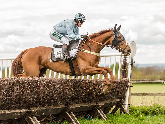 Race 3 - Young Horse maiden 2m5f (101 of 124).jpg