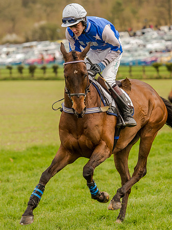 Race 1 - Confined Hunts (38 of 118).jpg