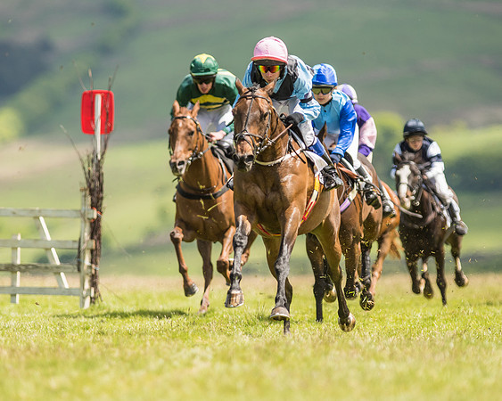 Pony Race 2  (1 of 33).jpg