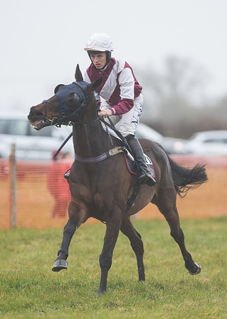 Race 5 - Open Maiden (21 of 112).jpg