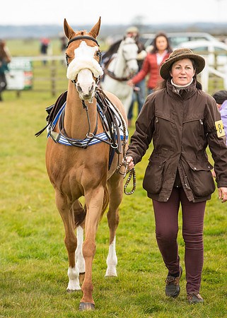 Pony Race 1 - 138cm -2