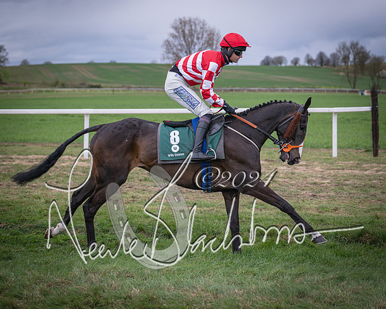 Race 6 - The Restricted Race (23 of 101)