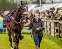 Race 3 - Confined Hunts (5 of 122).jpg