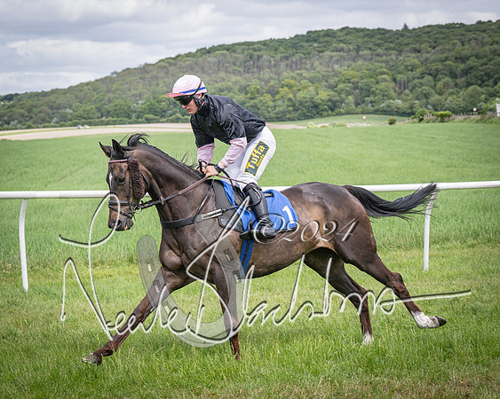 Race 1 - The owner-trainer Conditions race (31 of 118)