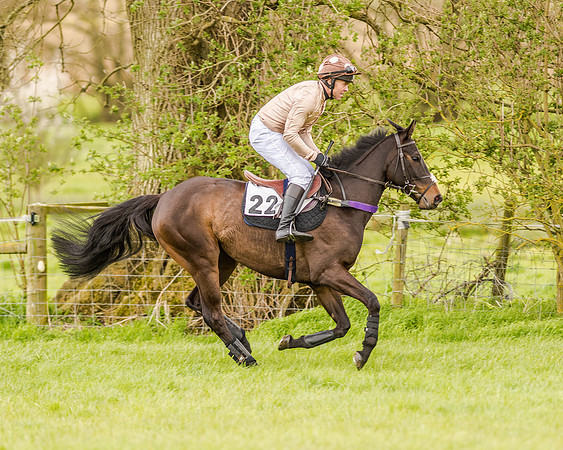 Race 2 - Open Maiden  (38 of 170).jpg