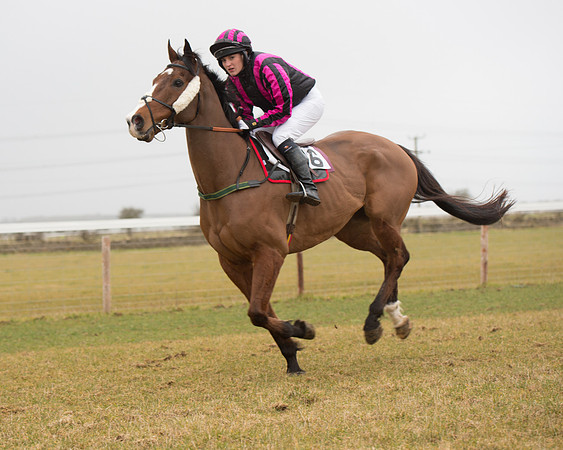 Race 6 - Open Maiden (73 of 120).jpg