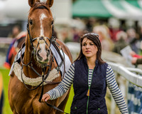 Race 1 - Hunt Members (6 of 90).jpg