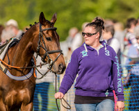 Race 7 - Div 1 - Open Maiden (3 of 94).jpg