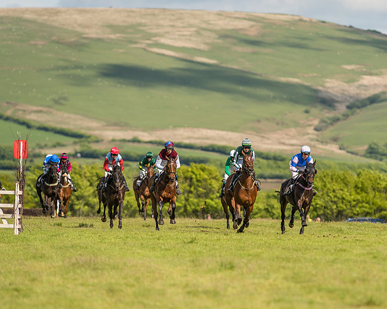 Race 6 - Open Maiden Race (31 of 71).jpg