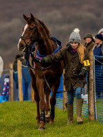 Race 1 - Confined Hunts (12 of 118).jpg