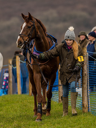 Race 1 - Confined Hunts (12 of 118).jpg