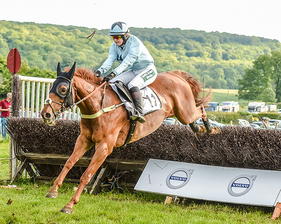 Race 7 - Div 2 - Open Maiden (113 of 163).jpg