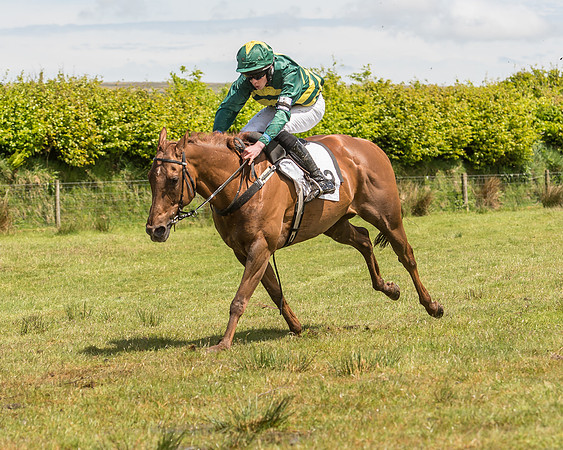 Pony Race 2  (8 of 33).jpg