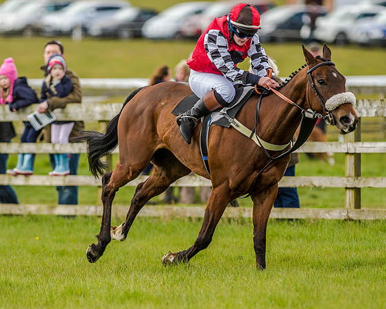 Pony Race 3 (39 of 78).jpg