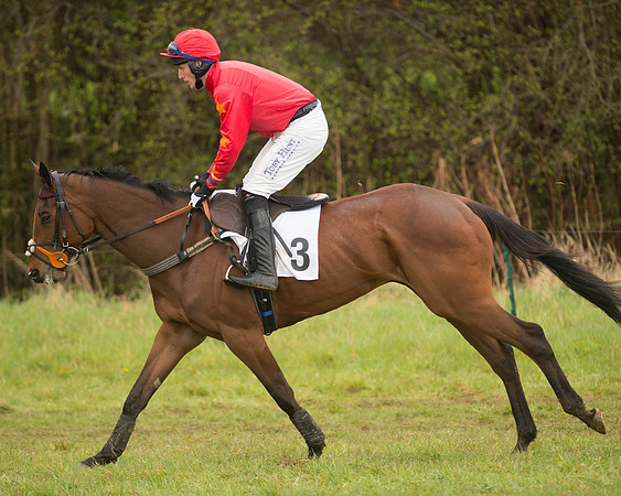 Race 5 - Open Maiden (62 of 147).jpg