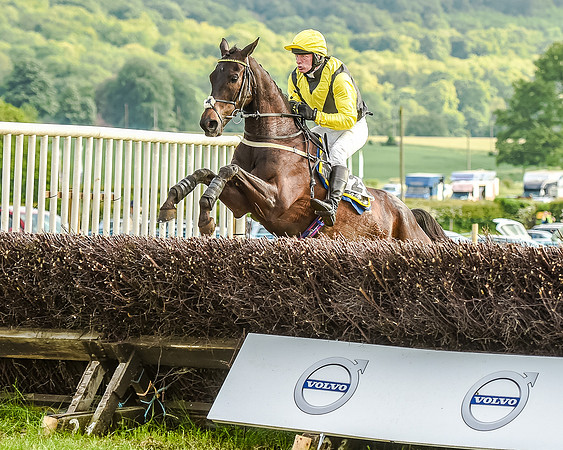 Race 7 - Div 2 - Open Maiden (95 of 163).jpg