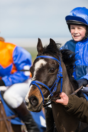 Pony Race 1 - 138cm  (52 of 57).jpg