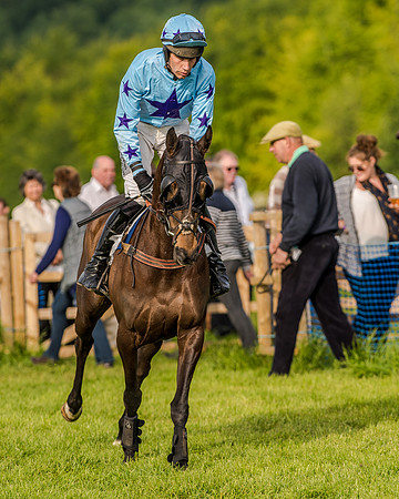 Race 7 - Div 2 - Open Maiden (65 of 163).jpg
