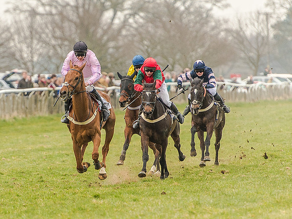 Race 5 - Open Maiden Division 1  (61 of 90).jpg