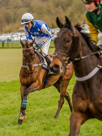Race 1 - Confined Hunts (39 of 118).jpg