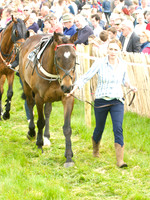 Old Berks at Lockinge Members Race