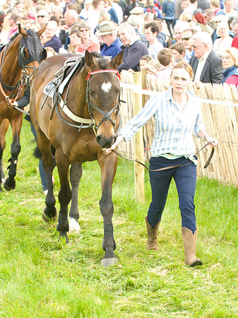 Old Berks at Lockinge Members Race