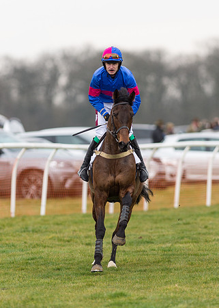 Race 7 - PPORA Novice Riders-2