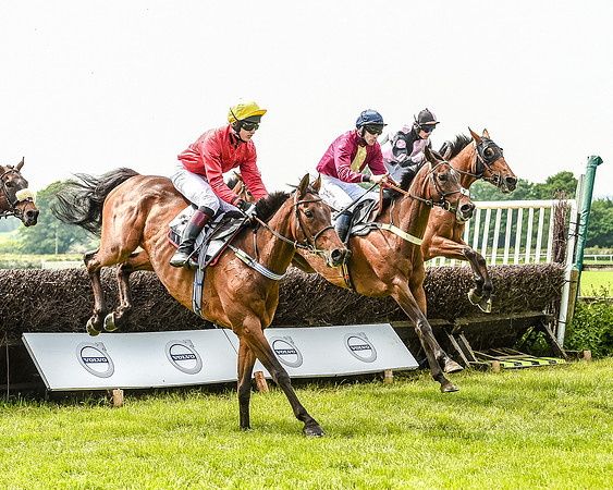 Race 2 - PPORA Members Novice Riders  (62 of 112).jpg