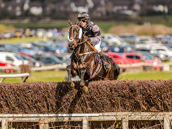 Race 4 - Ladies Open [Nov-Vet] (50 of 82).jpg