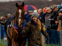 Race 1 - Confined Hunts (15 of 118).jpg