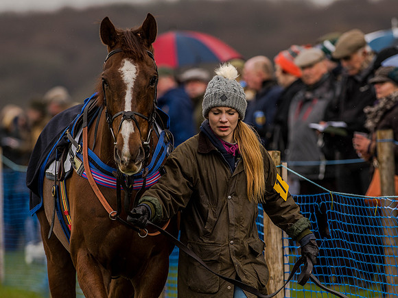 Race 1 - Confined Hunts (15 of 118).jpg