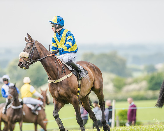 Race 2 - PPORA Members Novice Riders  (39 of 112).jpg