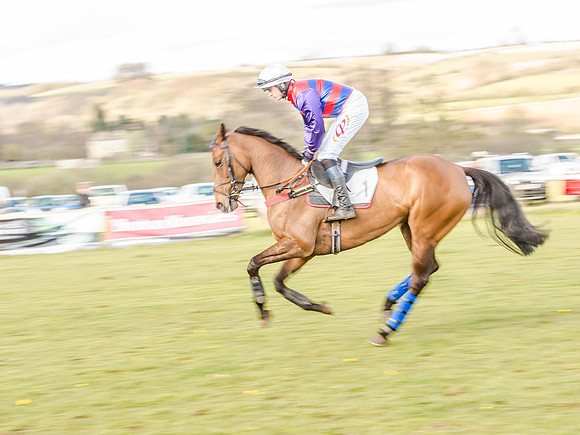 Race 6 - The Restricted Race [Nov-Vet] (28 of 84).jpg