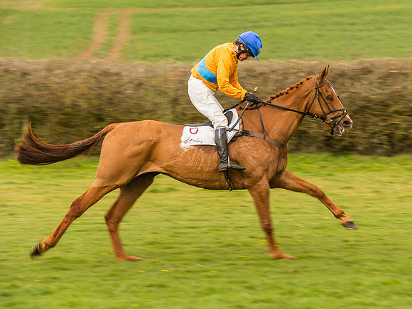 Race 6 - Open Maiden Division 1  (51 of 133).jpg