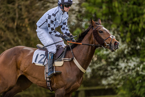 Race 5 - Mens Open [Nov-Vet] (39 of 68).jpg