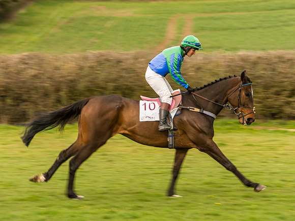Race 6 - Open Maiden Division 1  (53 of 133).jpg