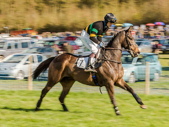 Race 6 - The Open Maiden (27 of 122).jpg