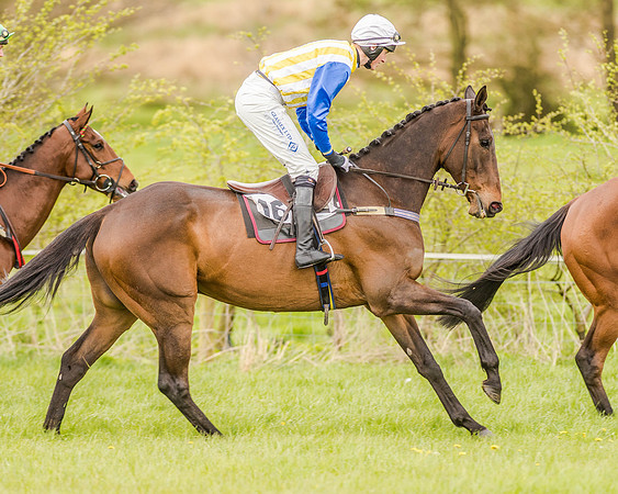 Race 2 - Open Maiden  (48 of 170).jpg