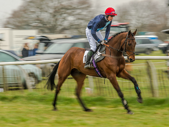 Race 5 - Open Maiden Division 2 (42 of 112).jpg