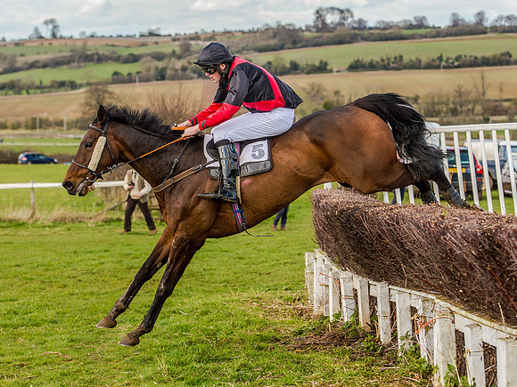 Race 6 - The Restricted Race [Nov-Vet] (51 of 84).jpg