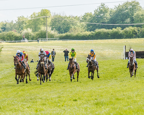 Race 5 - Division 1 Restricted Race (36 of 107).jpg
