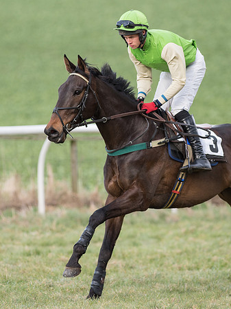 Race 6 - Open Maiden (28 of 110).jpg