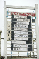 Race 5 - Open Maiden (1 of 112).jpg