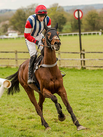 Race 3 - Young Horse maiden 2m5f (36 of 124).jpg