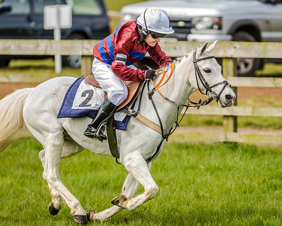 Pony Race 1  (54 of 65).jpg