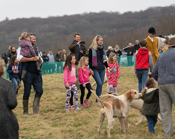 Hounds and Others (59 of 100)